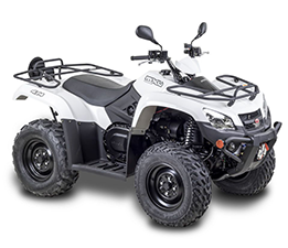 Quad / ATV